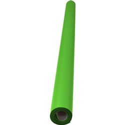 Rainbow Poster Roll 85gsm 760mmx10m Grass Green